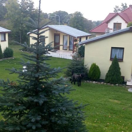 Domki Letniskowe W Wapnicy Villa Lubin  Dış mekan fotoğraf